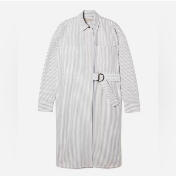 Everlane Oxford Stripe Belted Shirt Dress - Picture 4 of 14